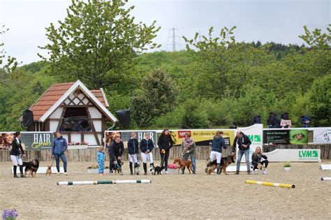 schobo timing|MzR Turnier – reiterhof.